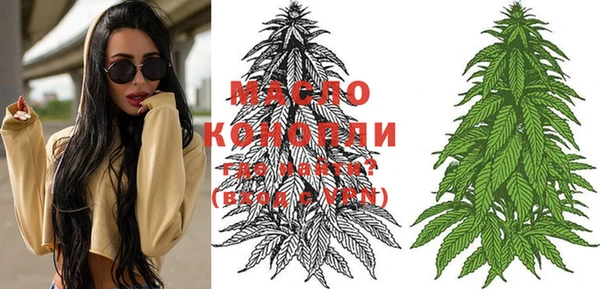 соль ск Михайлов