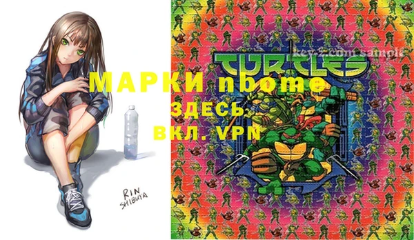 прущие грибы Мегион