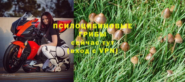МДПВ Медвежьегорск