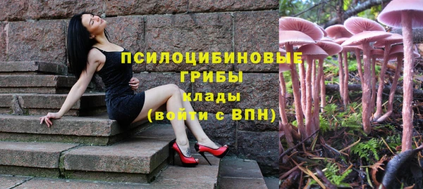 прущие грибы Мегион