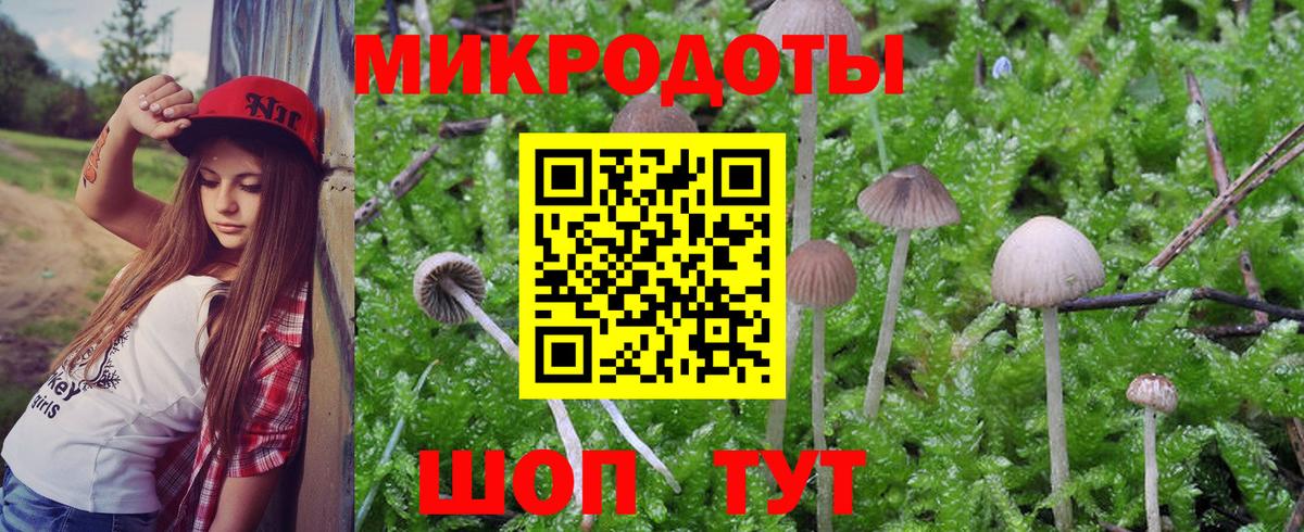 Электросталь  Псилоцибиновые грибы GOLDEN TEACHER  Вход с VPN 